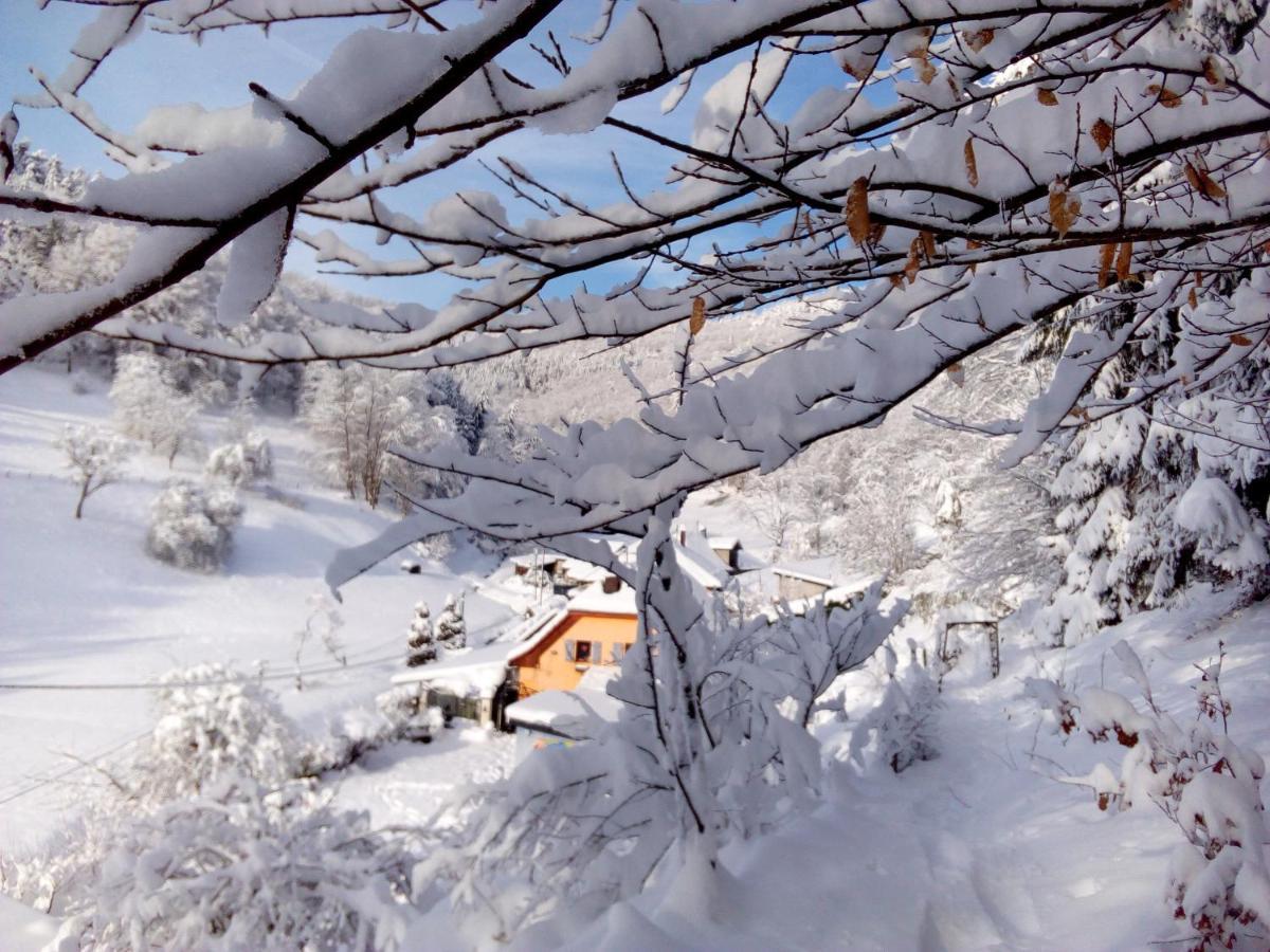 Готель Abri De Jardin Amenage, Chambre Camping Glamour Lalaye Екстер'єр фото